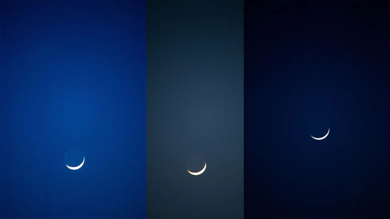 collage 01.jpg