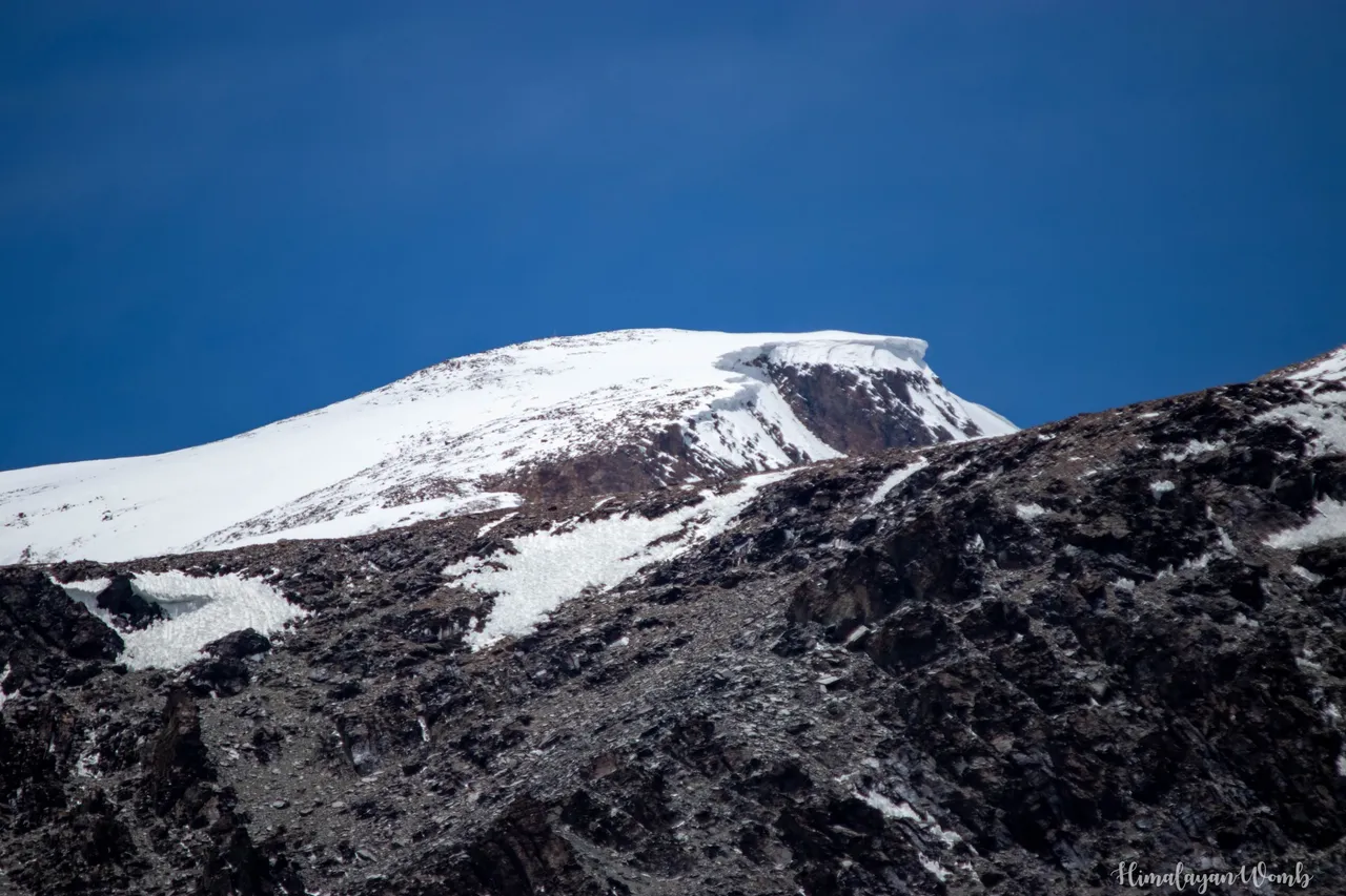 IMG_9504.JPG