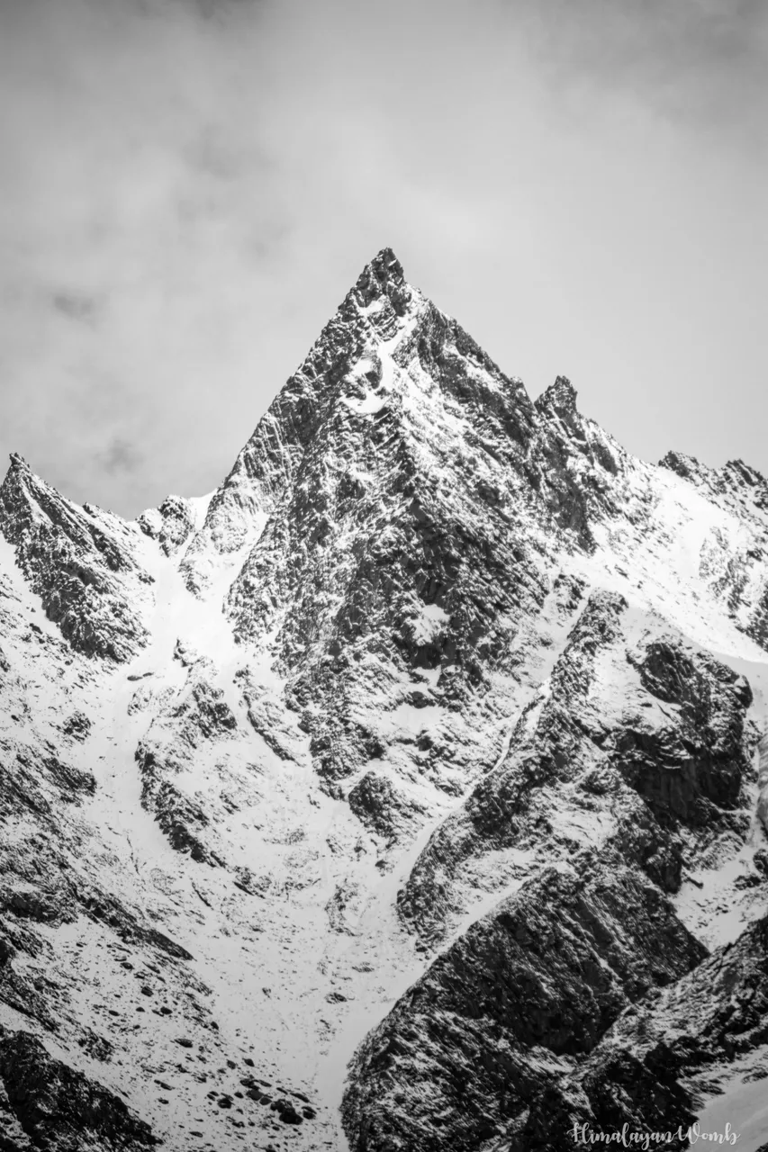 IMG_9369.JPG