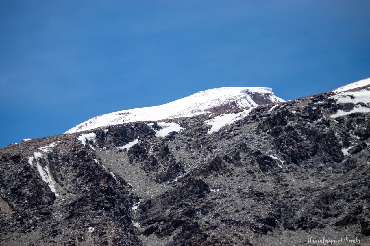 IMG_9496.JPG