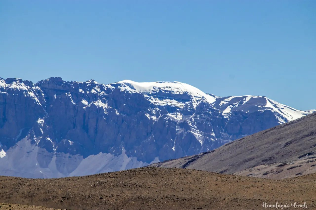 IMG_9996.JPG