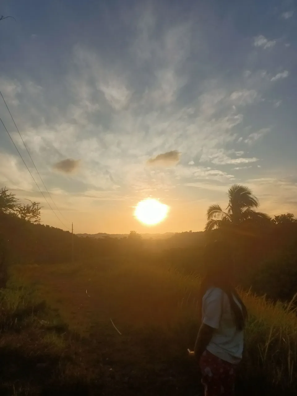 IMG20240127062950.jpg