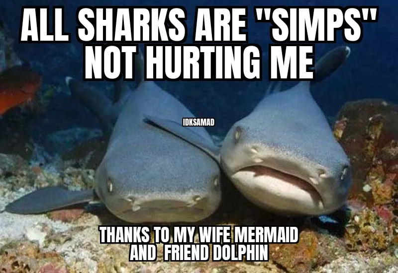 Compassionate Shark Friend 05082022174405.jpg