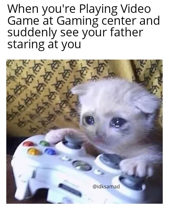 Sad Gaming Cat 02072022223852.jpg