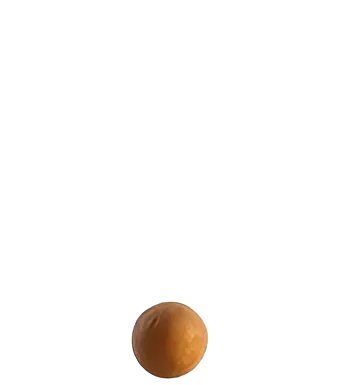 seed-threelayers-sprite1seed.png