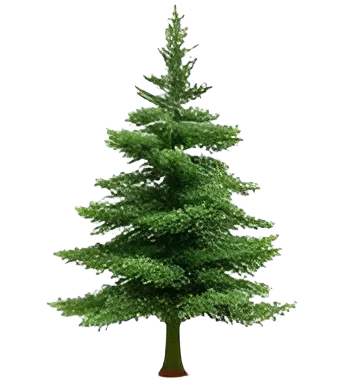 seed-threelayers-sprite3tree.png