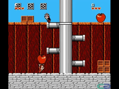 c5zjgx0e8sc71.gif