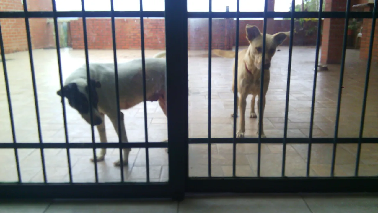 Baqueta y Milagros esperando desayuno / Waiting breakfast