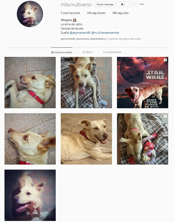 mila.multiverso Instagram feed