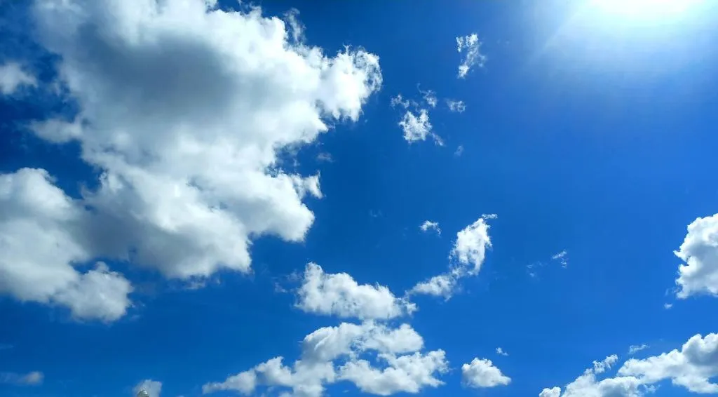 92CA8348-5195-4B9D-A83A-F77EAD229D66.jpeg