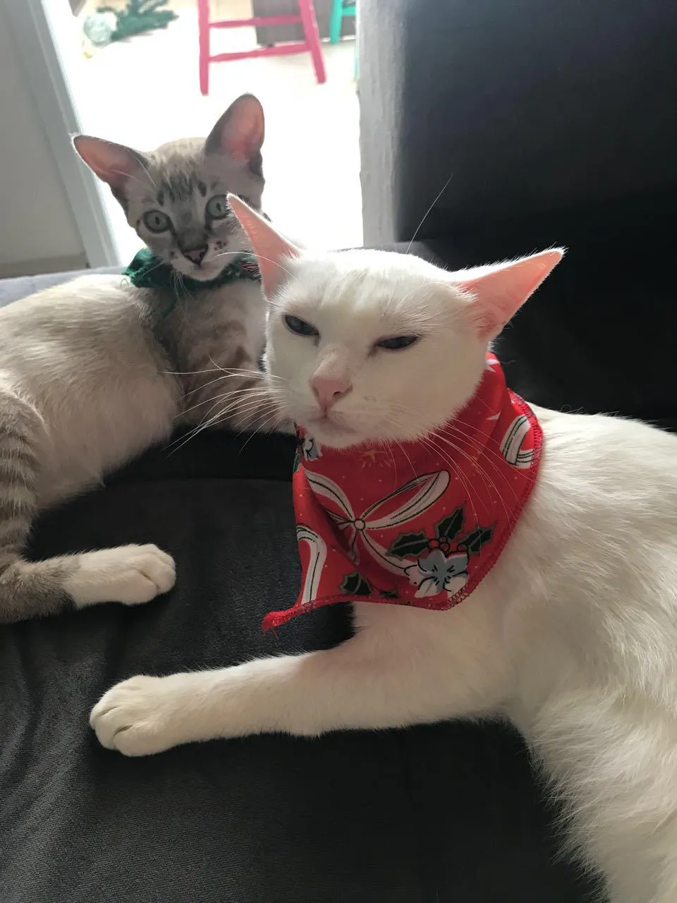 IMG-20181220-WA0017.jpeg