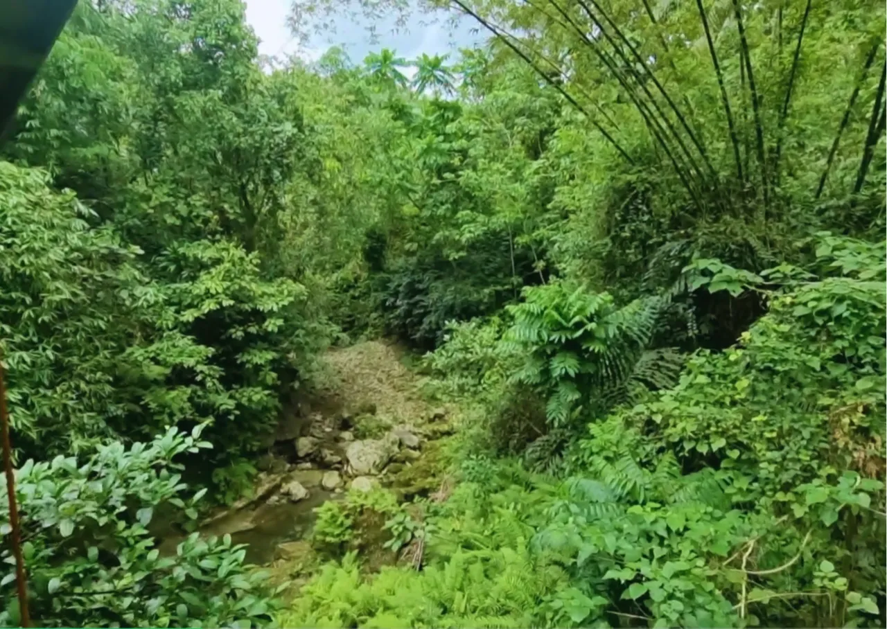 6_20250304_104013_0005.png