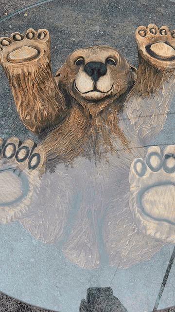 20240818_134911.gif