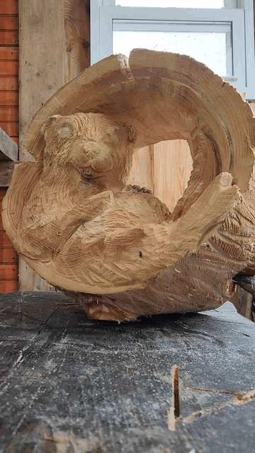 20250305_125722.gif