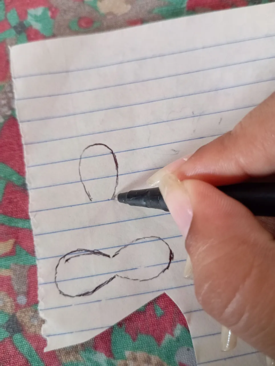 1000659266.jpg