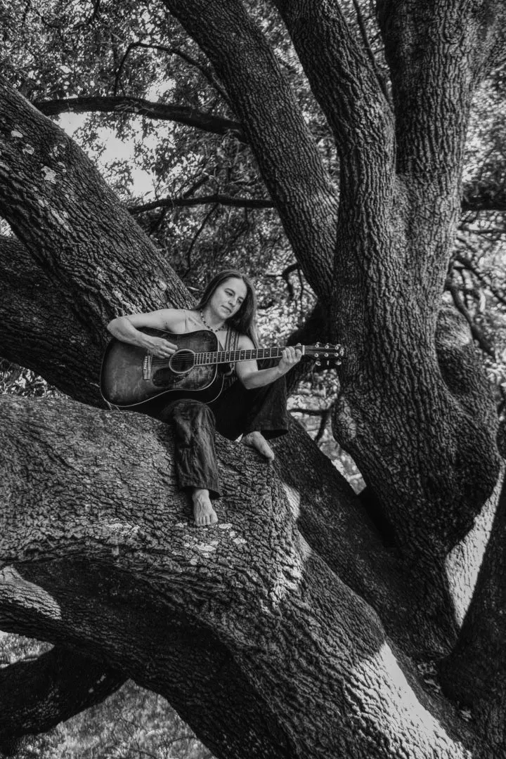playing guitar in an oak tree