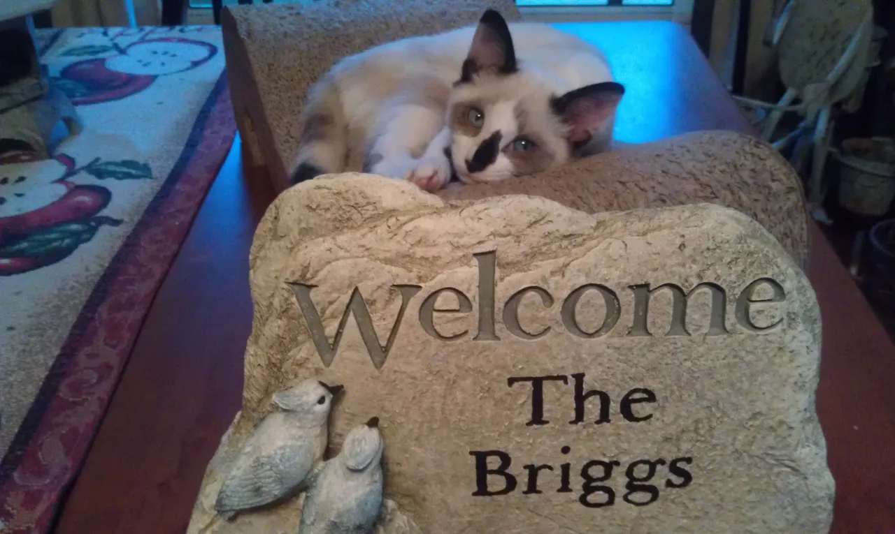 A Hallie Welcome Home 2013.jpg