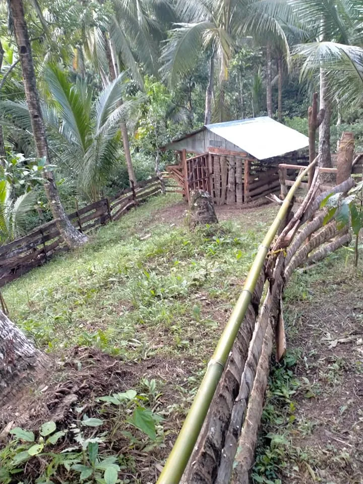 P 6.jpg