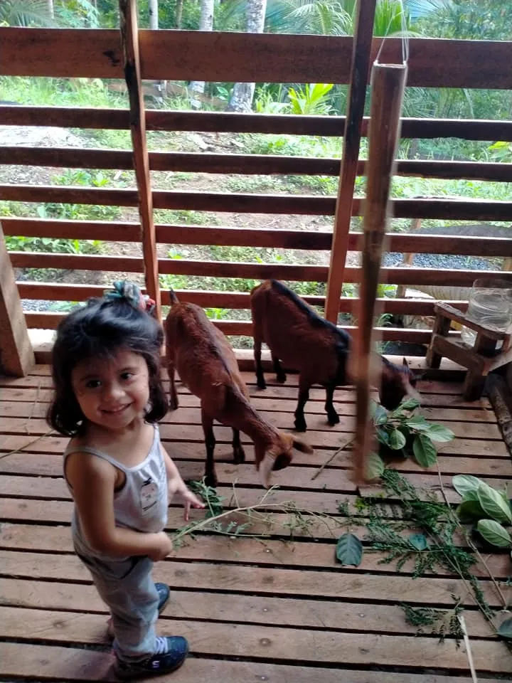 P 1.jpg