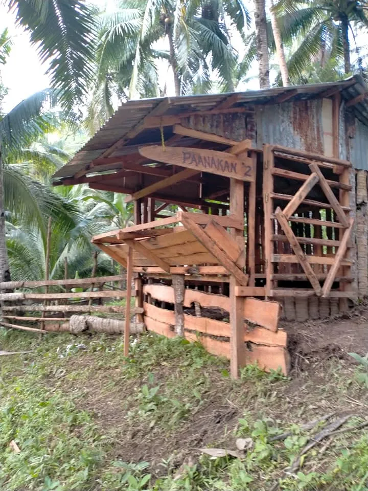 P 7.jpg