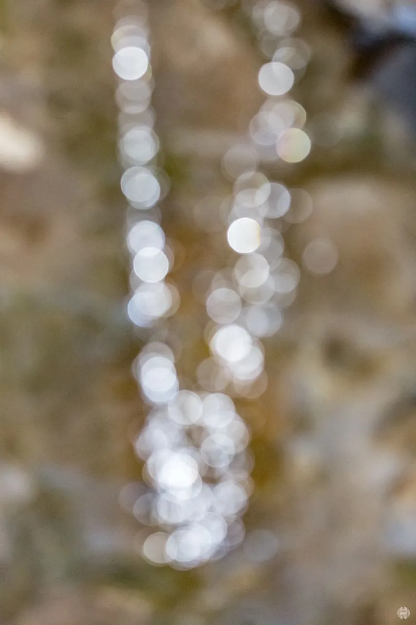 DDH_5436.jpg