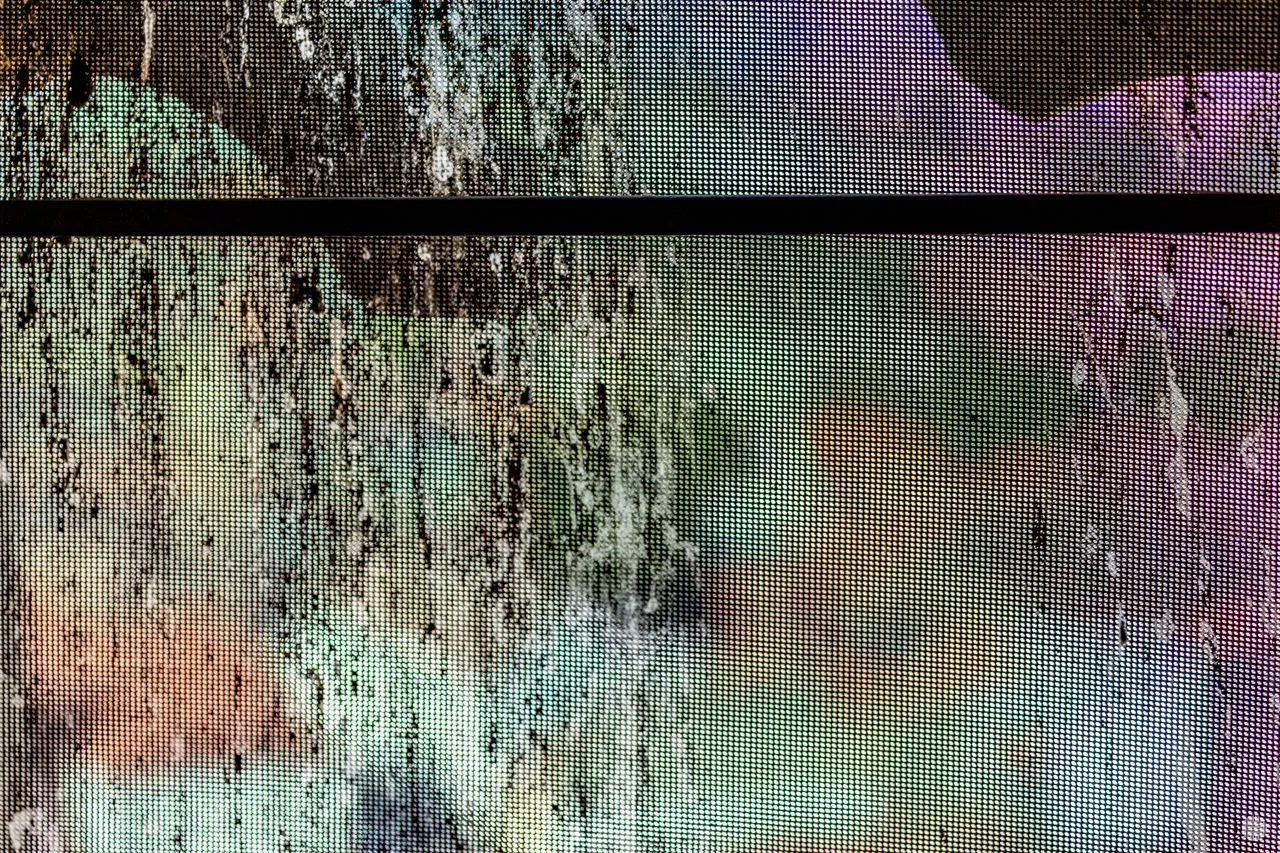 DDH_4258.jpg