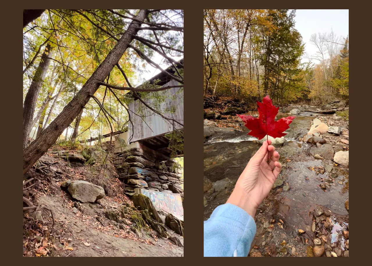 Canva covered bridge 1.png