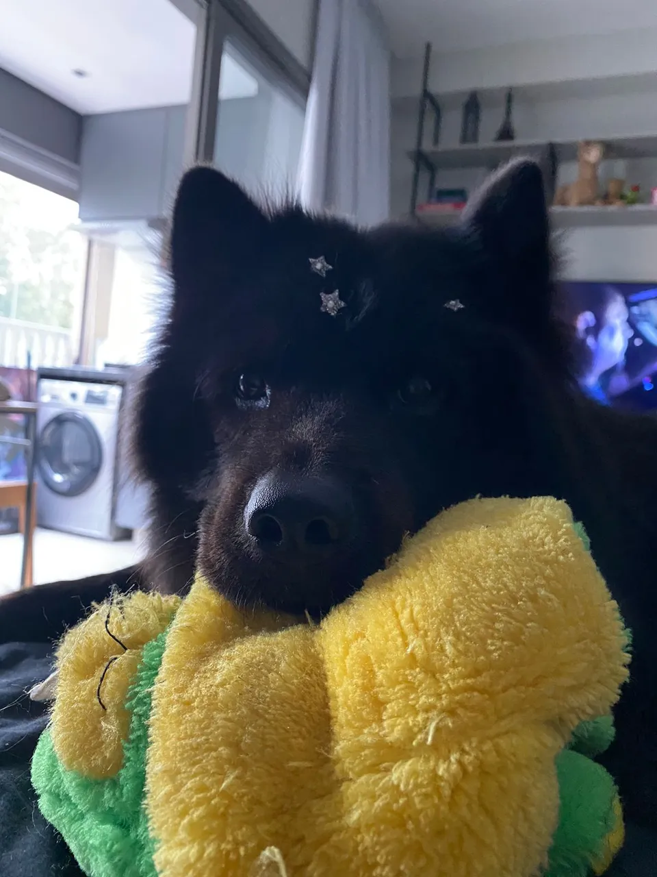 zoe (1).jpeg