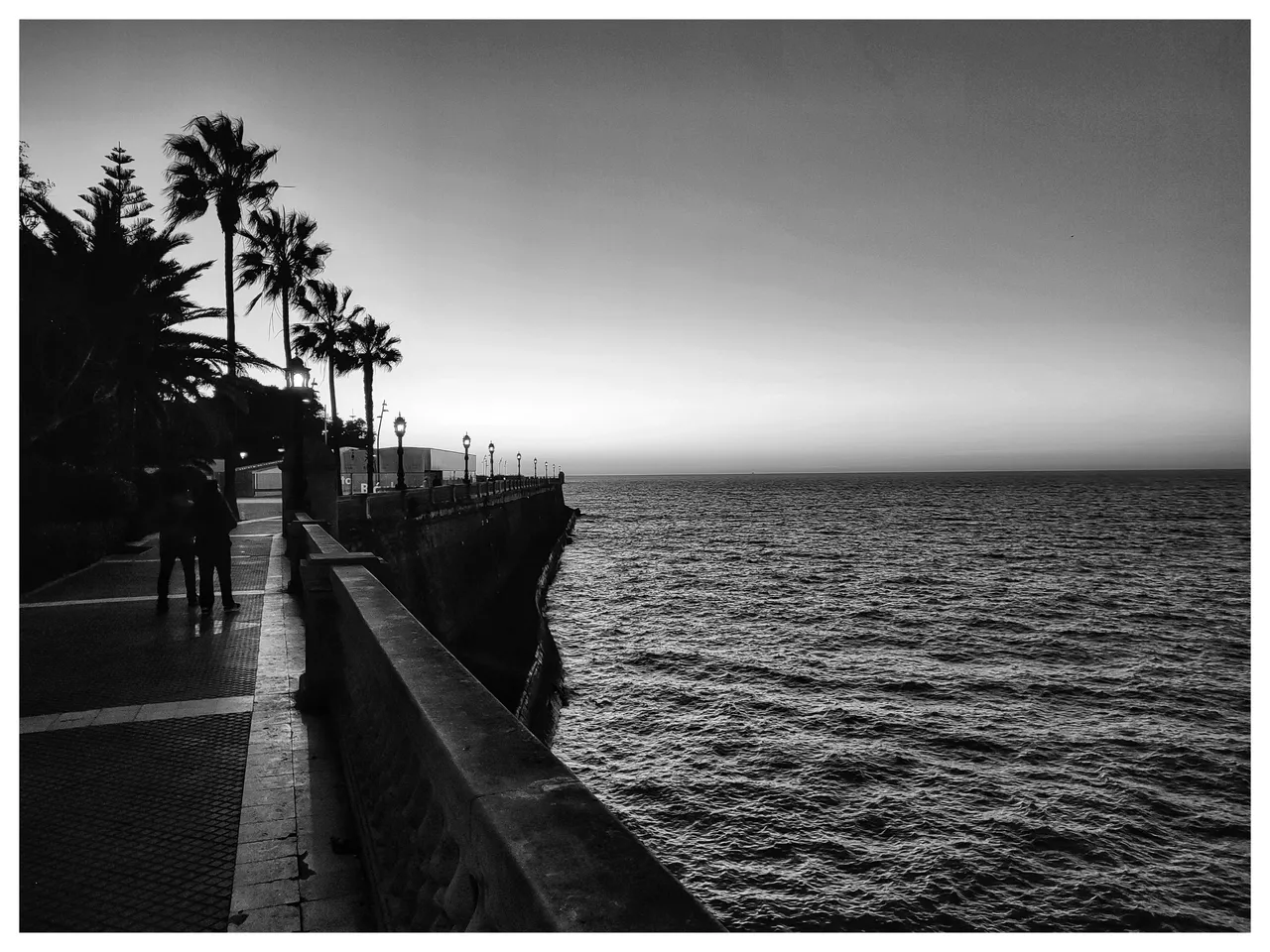 p_bw_1669412546197-01.jpeg