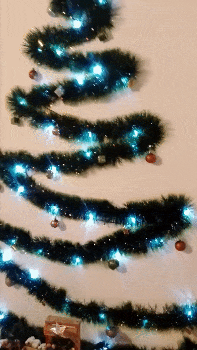VID-20231203-WA0025 (1).gif