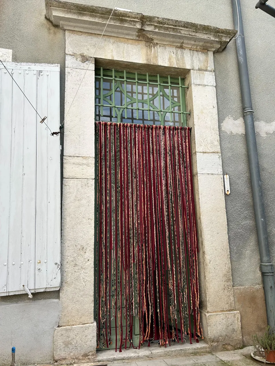 IMG_4894.jpeg