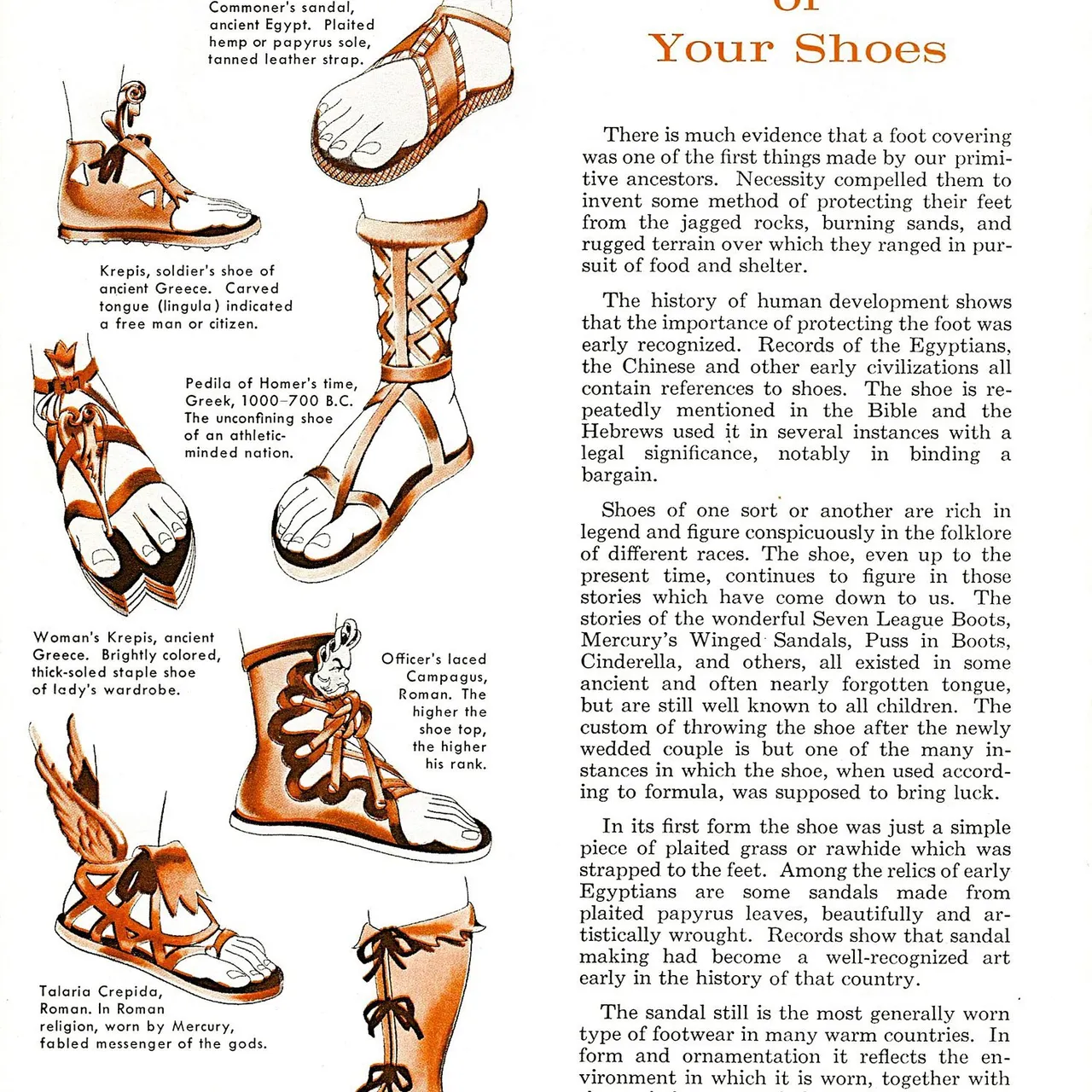 A Journey Through the History of Shoes