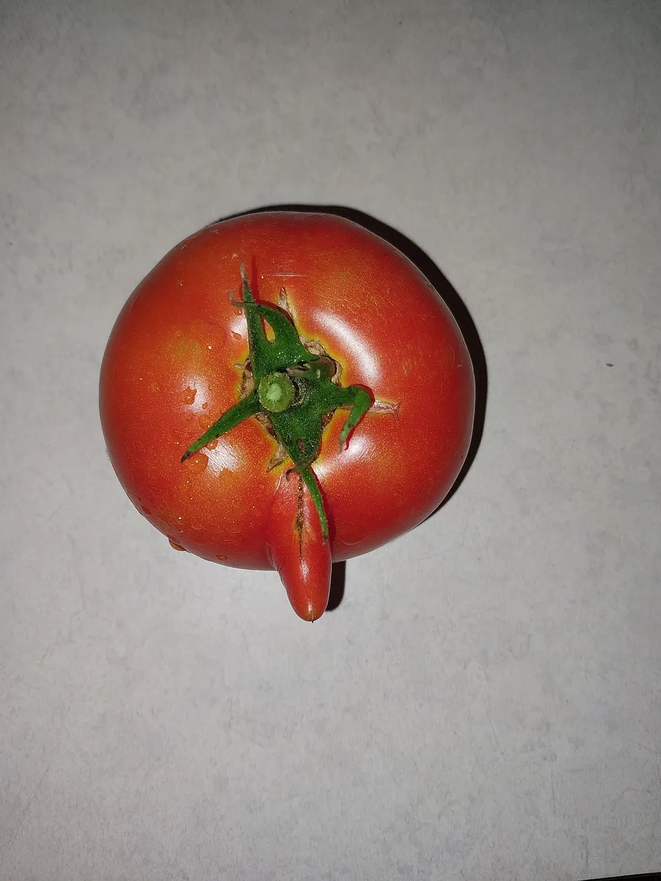 20230810_210013.jpg