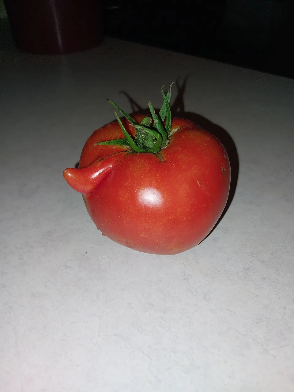20230810_210003.jpg