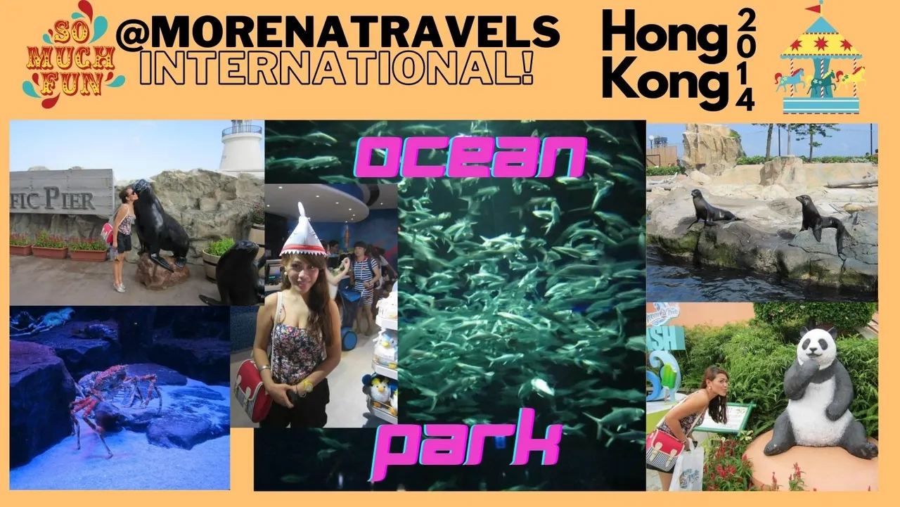 morena travels hong kong ocean park1.jpg