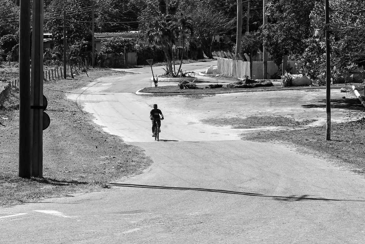 _DSC9482-NEF_DxO_DeepPRIMEXD copia.jpg