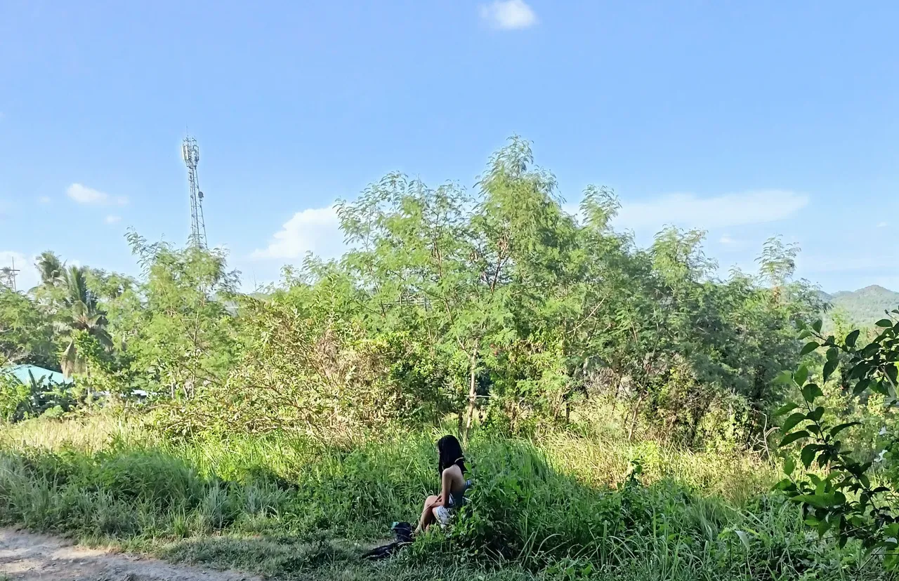 Field.jpg