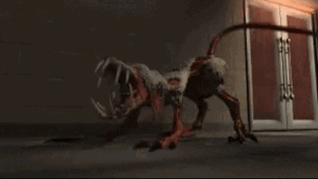 5.gif