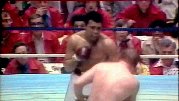 Chuck-Wepner-15-rounds-Muhammad-Ali-Knockout-Boxing.gif
