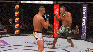 pelea52.gif