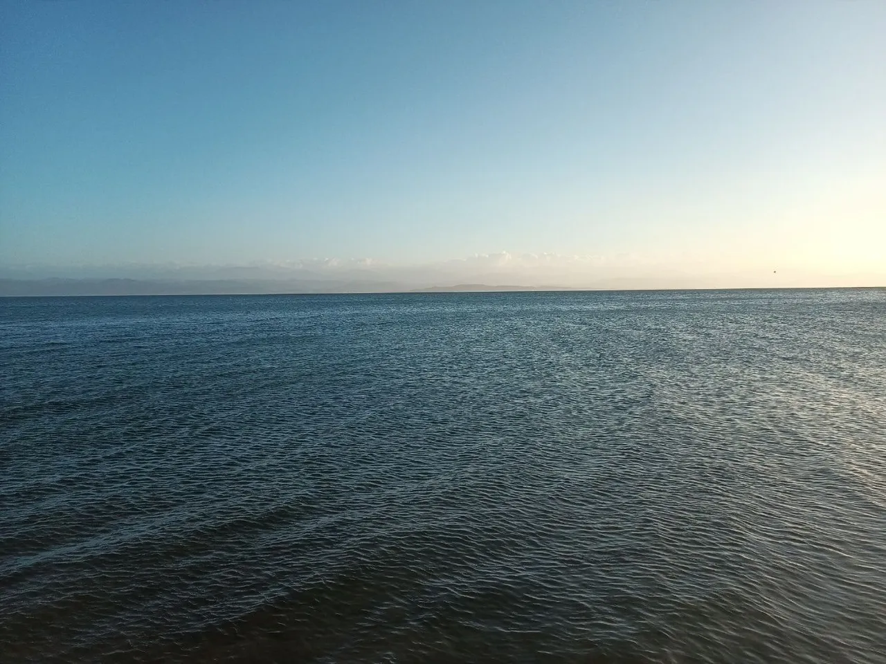 IMG_20221223_173426_167.jpg