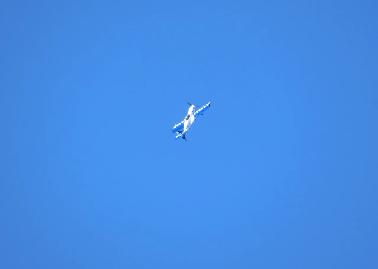 138.JPG