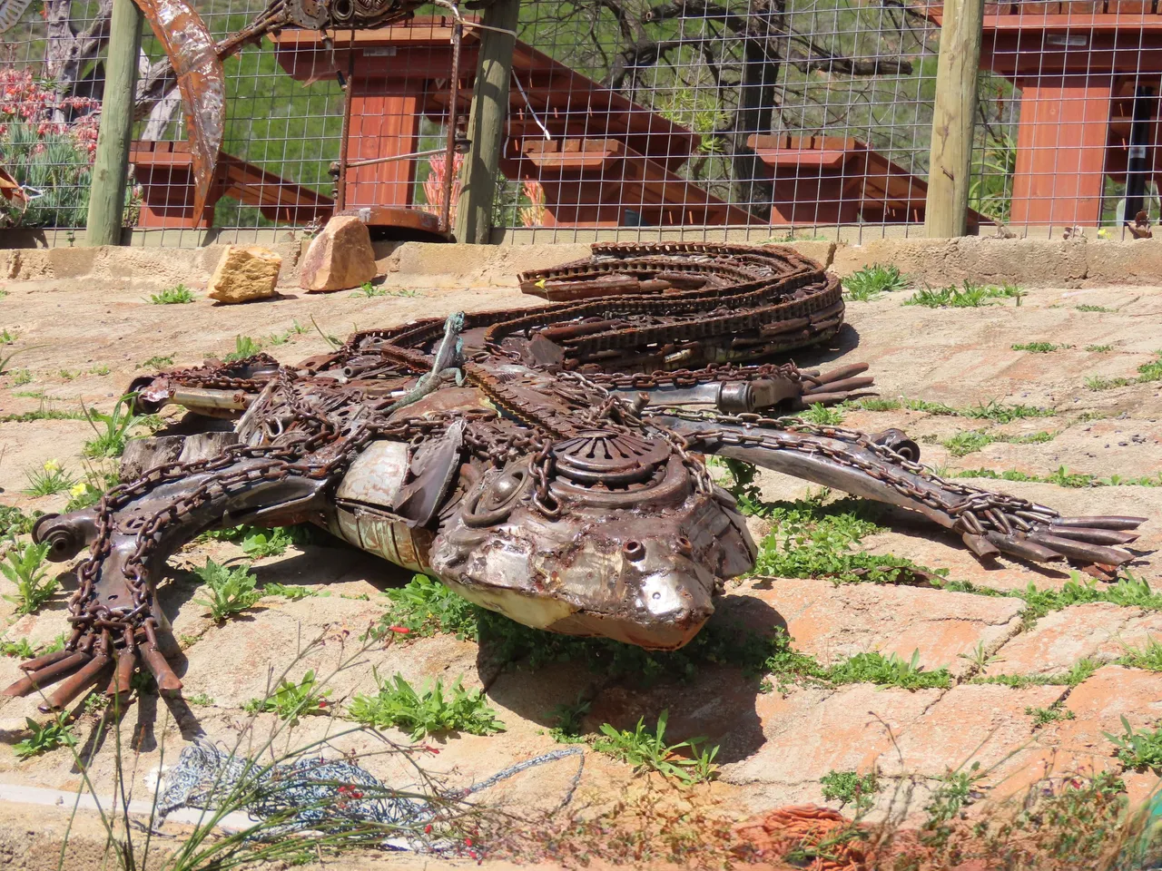 491.JPG