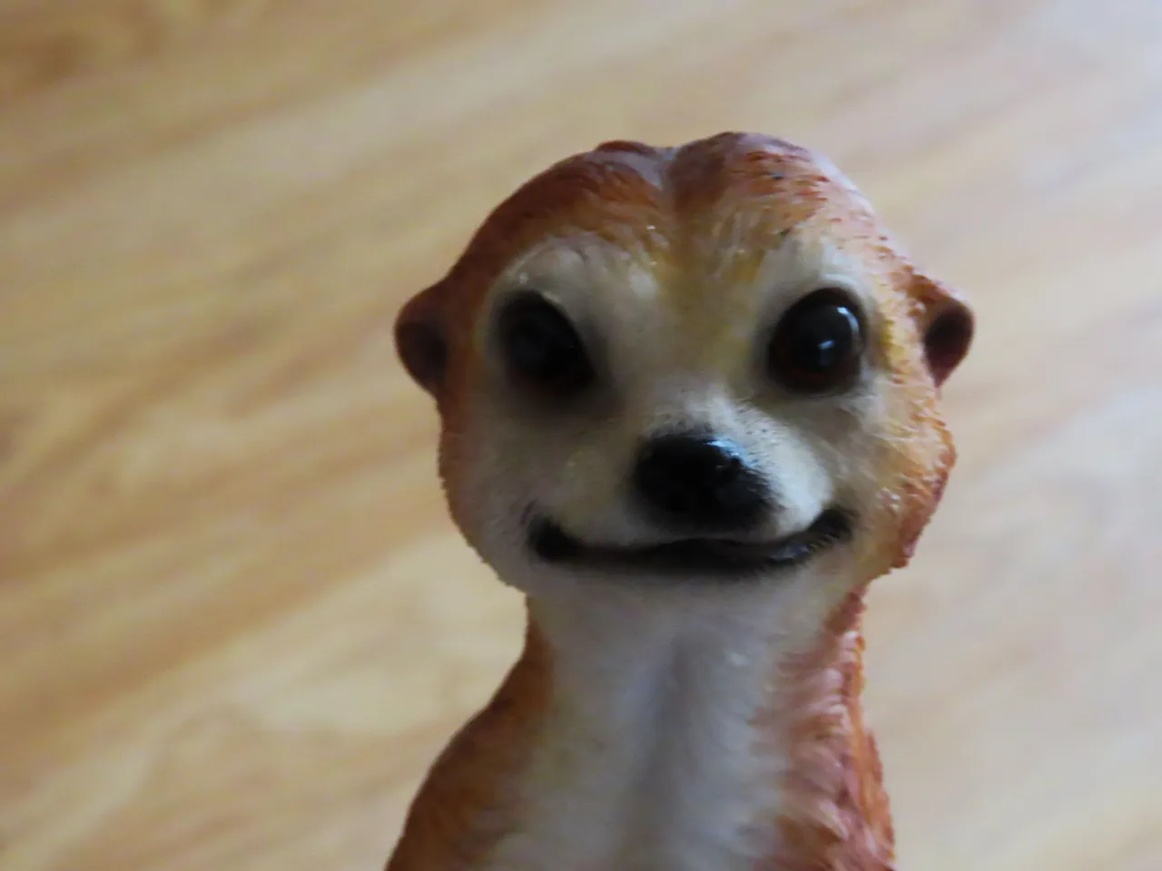 003.JPG
