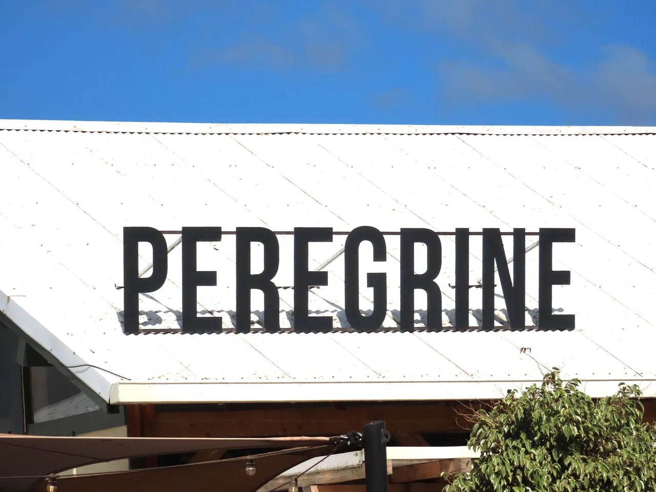 102.JPG