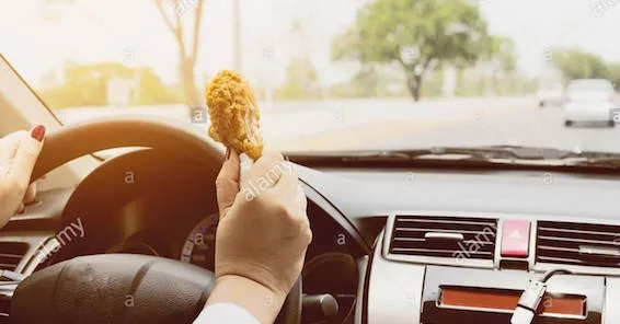 cropped-hand-of-man-holding-chicken-in-car-2DMK4TH.jpg