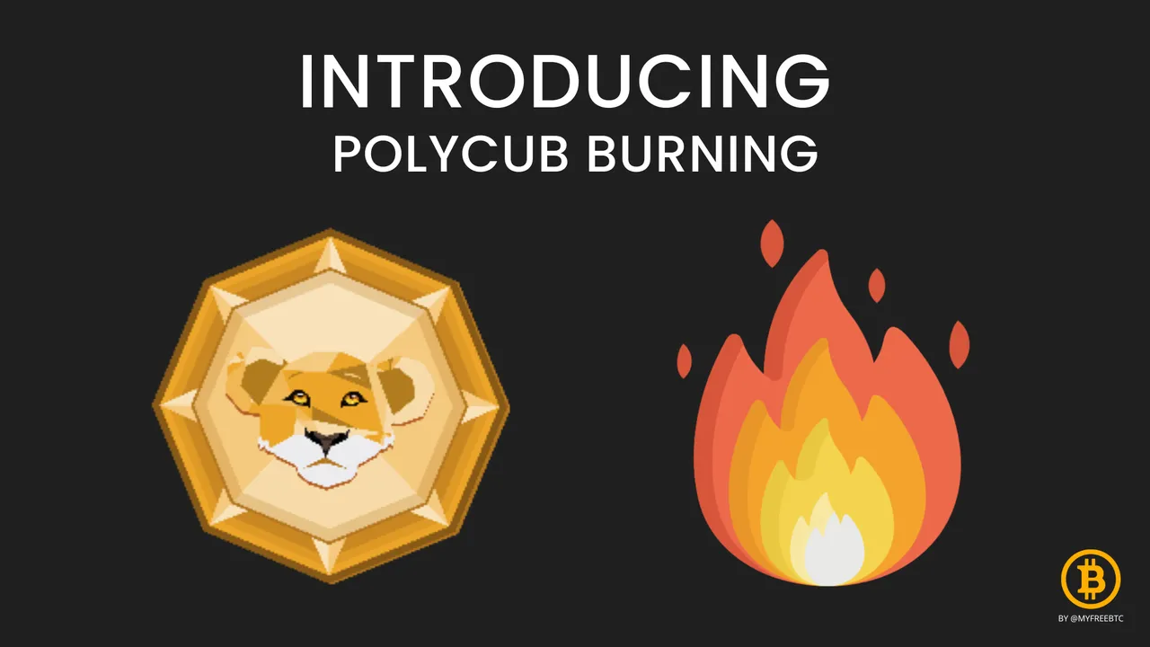 Cover - Polycub Burning.png