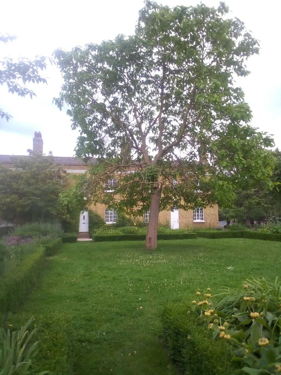 4 June4.jpg