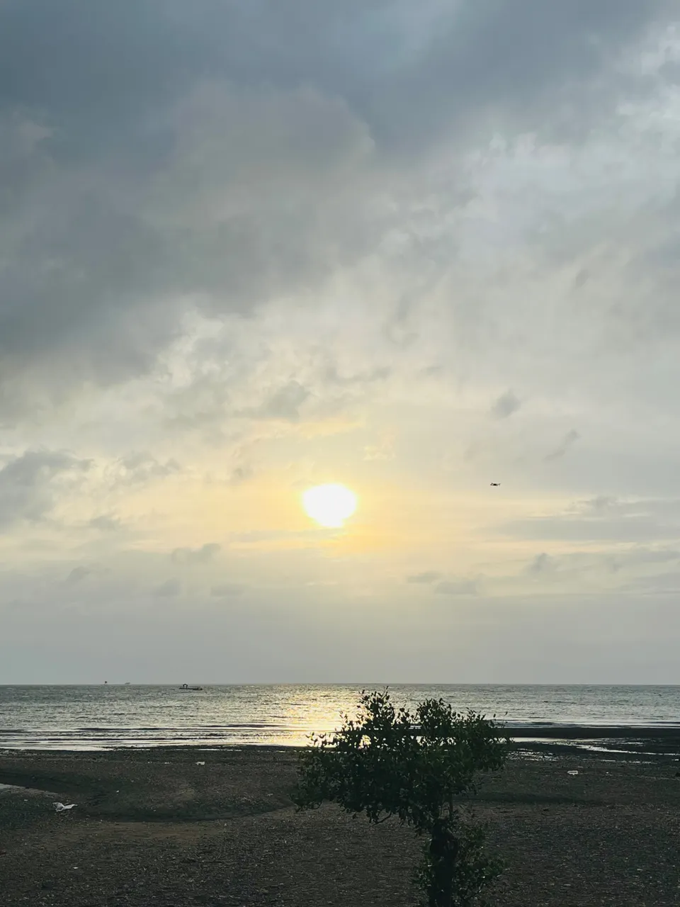 IMG_2294.jpeg