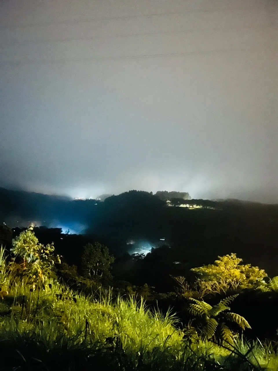 IMG_0110.jpeg